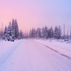 Wintersonne im verschneiten Harz