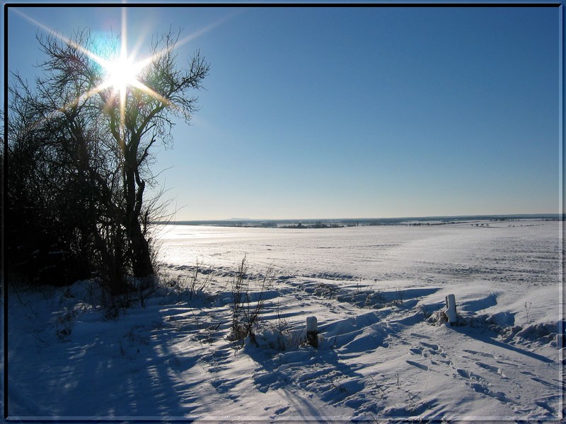 Wintersonne in der Altmark