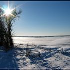 Wintersonne in der Altmark