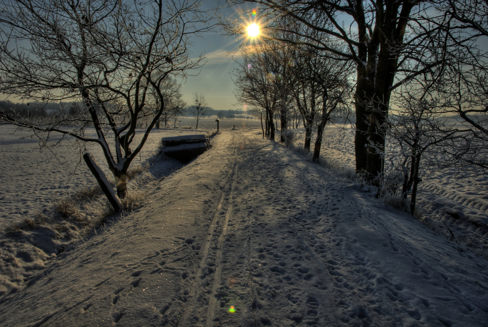 Wintersonne in der Oberlausitzer Heide und Teichlandschaft