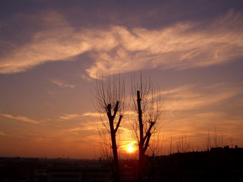 Wintersonne in Düsseldorf