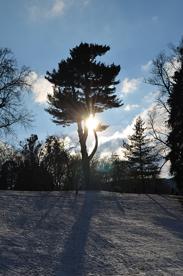 Wintersonne in Kassel