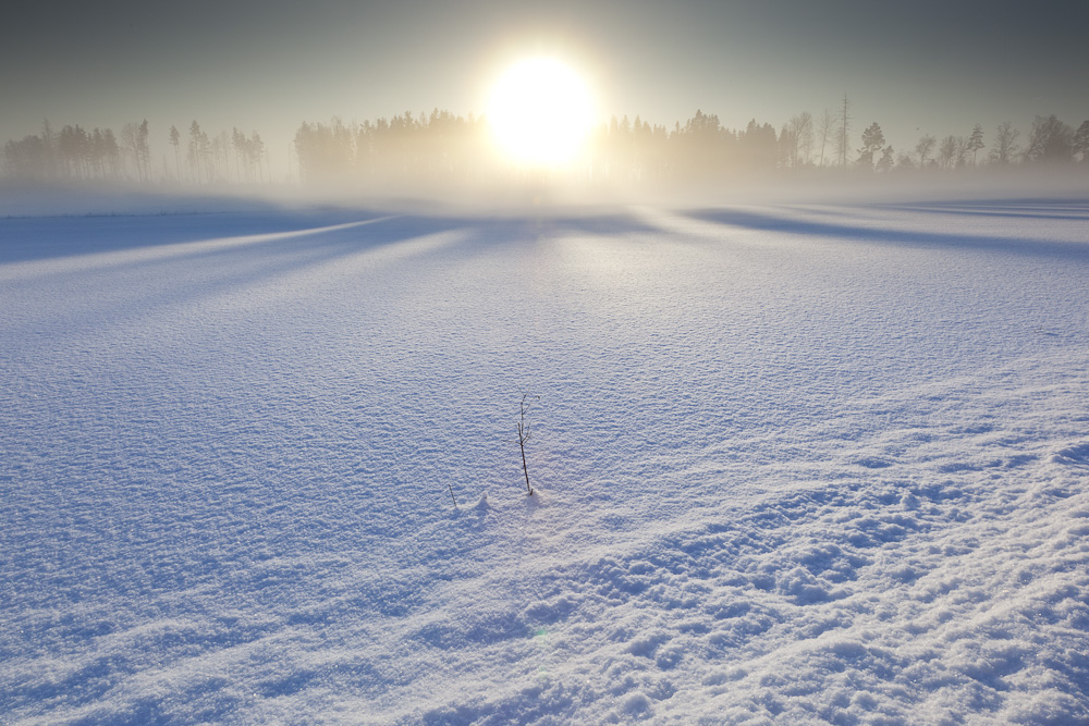 Wintersonne in Schweden