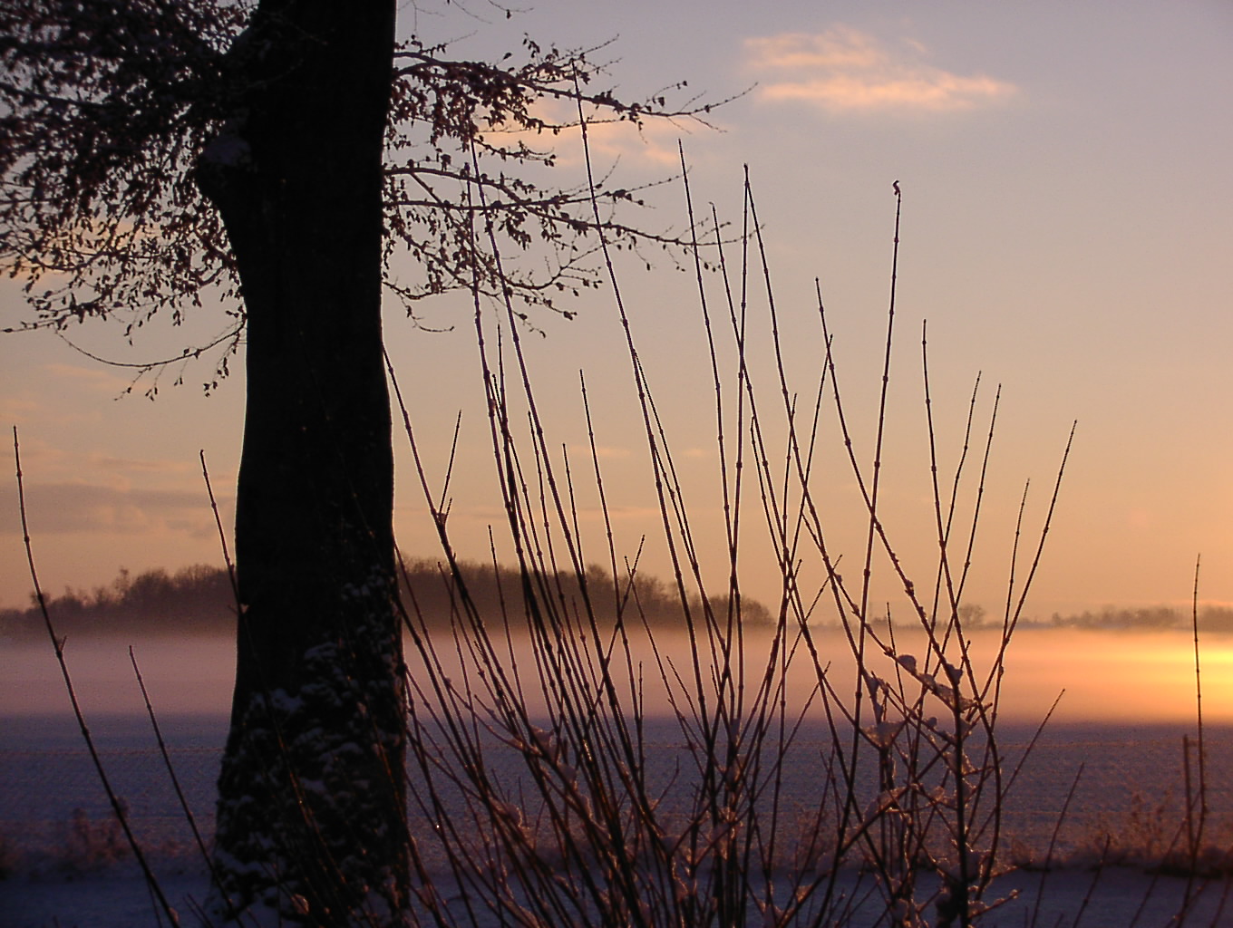 Wintersonne, kalt aber trotzdem warm