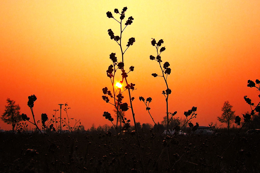 Wintersonne mit Stütze