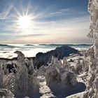 Wintersonne nach dem Schneesturm