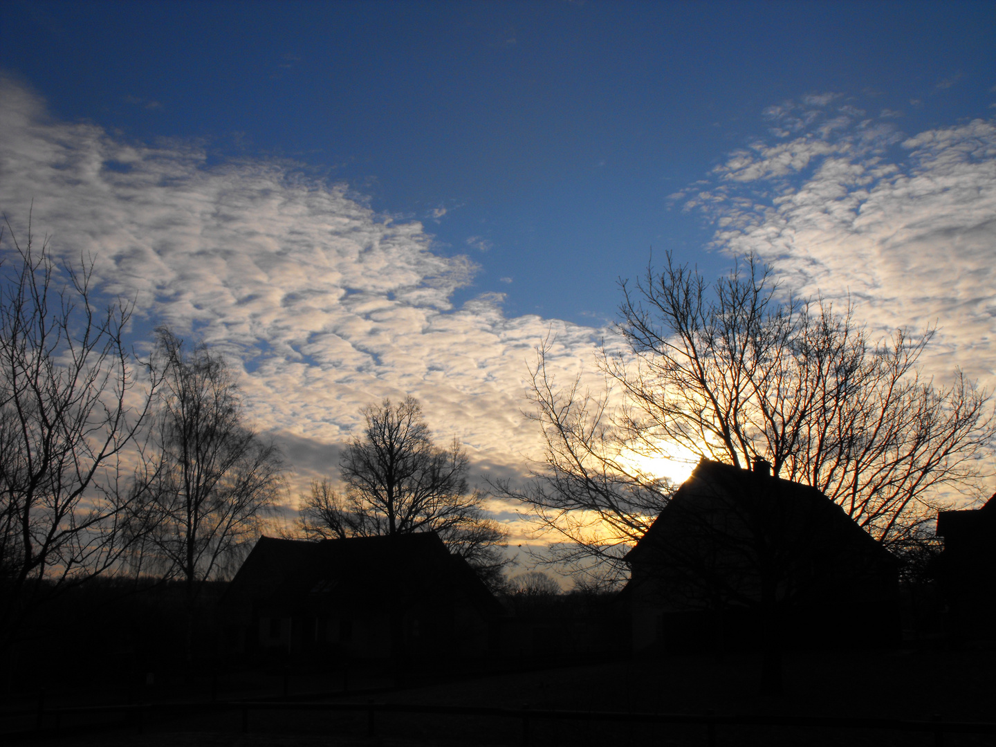 Wintersonne über Büecke