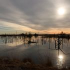 Wintersonne über dem Moor