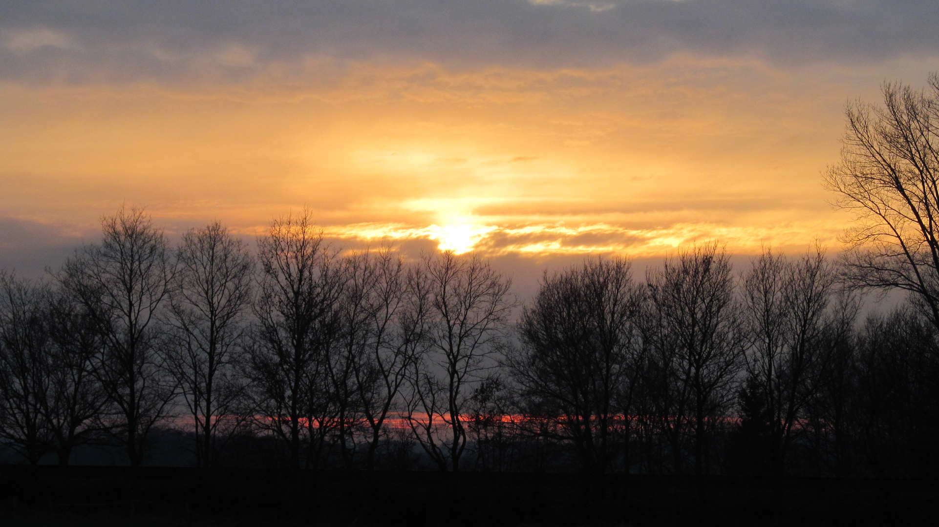 Wintersonne über dem Moor