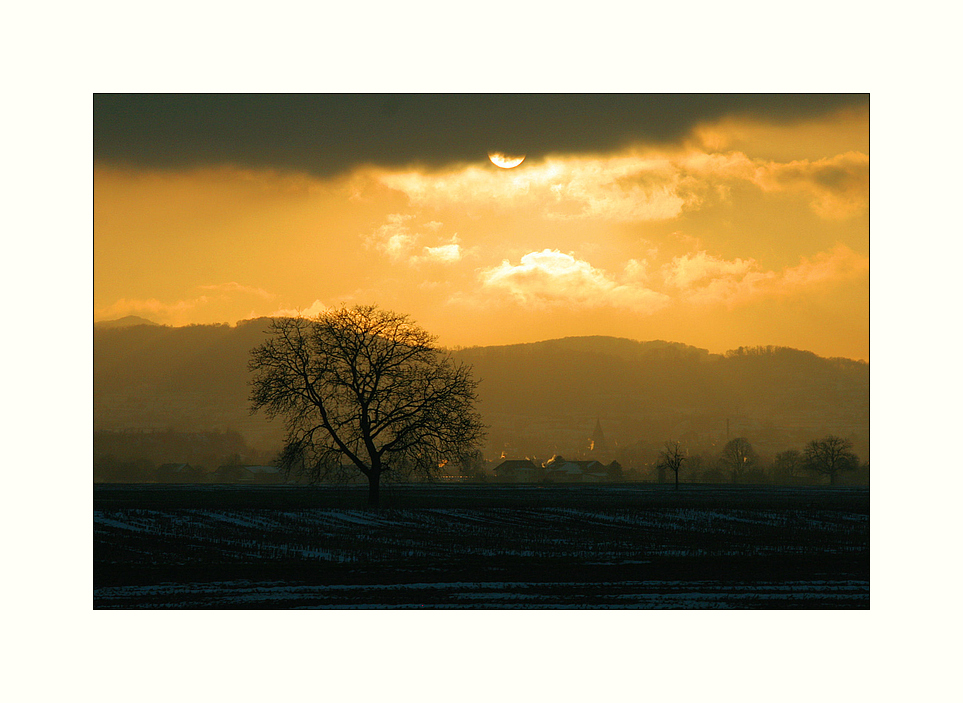 Wintersonne über dem Rheintal...