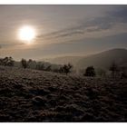 Wintersonne über der Eifel I