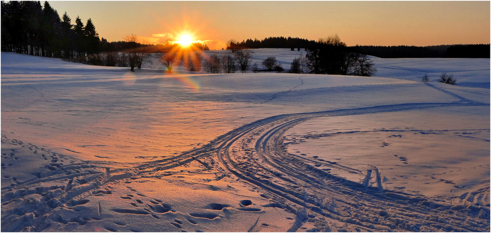 Wintersonne über der Loipe