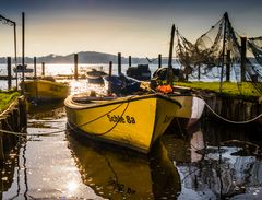 Wintersonne über der Schlei