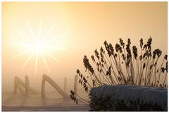 Wintersonne über Dülken-Busch