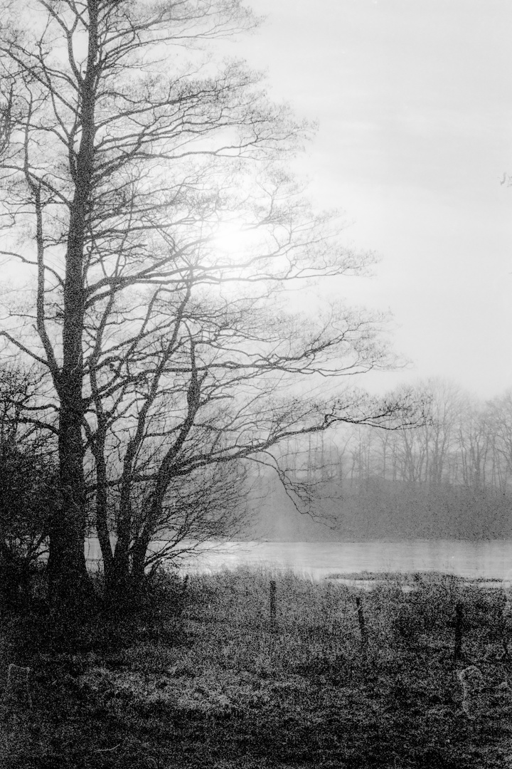 Wintersonne über einem See