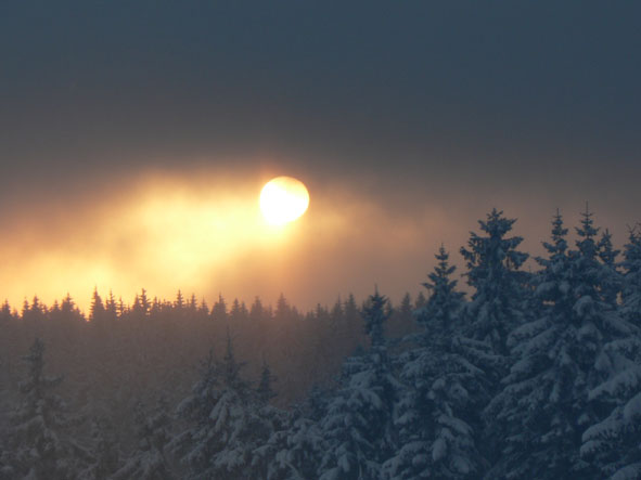 Wintersonne über schwarzen Wald