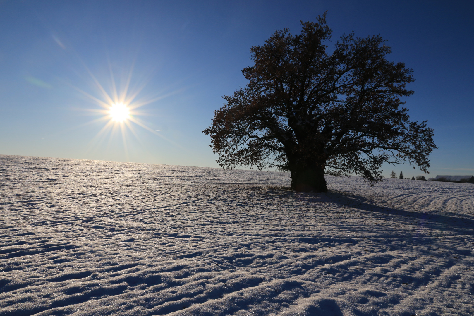 Wintersonne und -16 °C