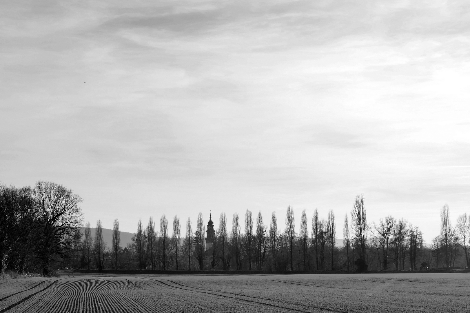 Wintersonne und Frost