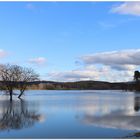 Wintersonne und Hochwasser