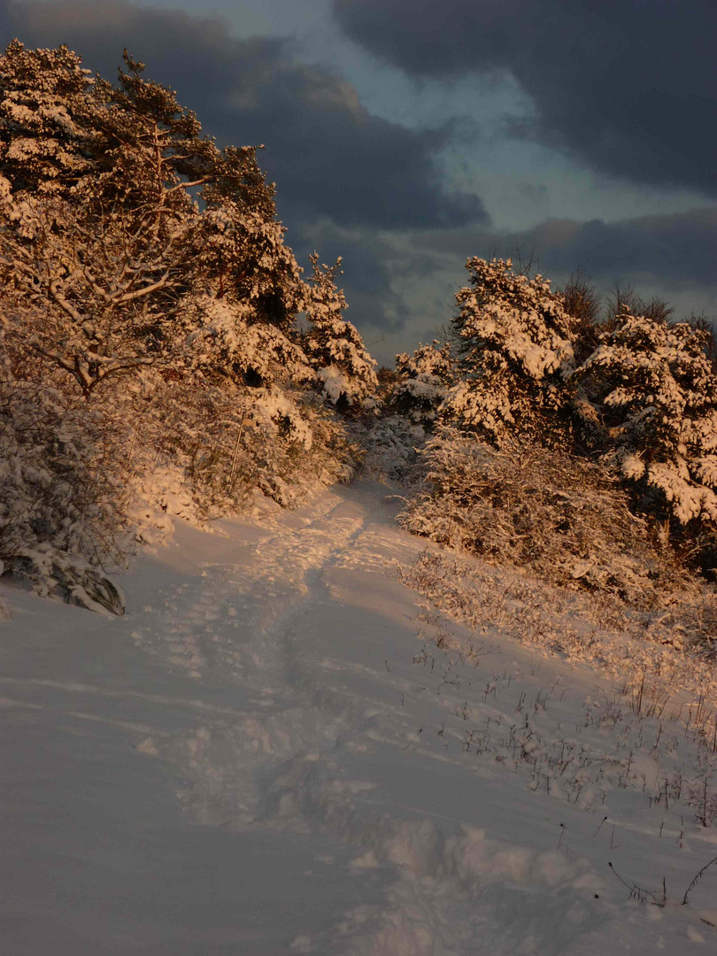 Wintersonne und schöner Schnee