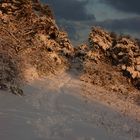 Wintersonne und schöner Schnee