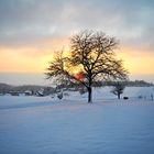 Wintersonne_2