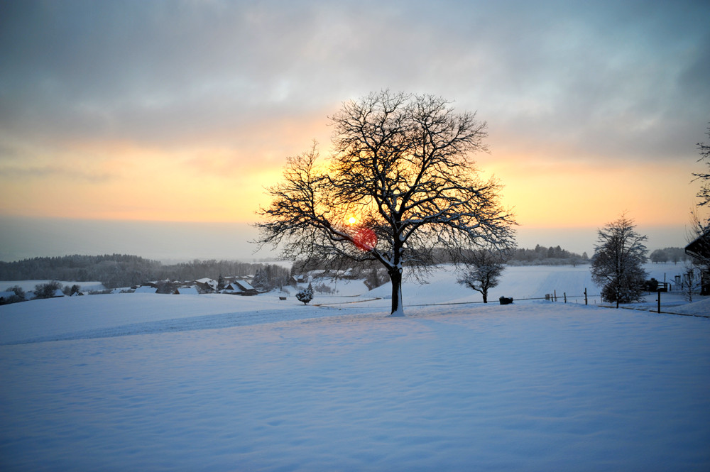 Wintersonne_2