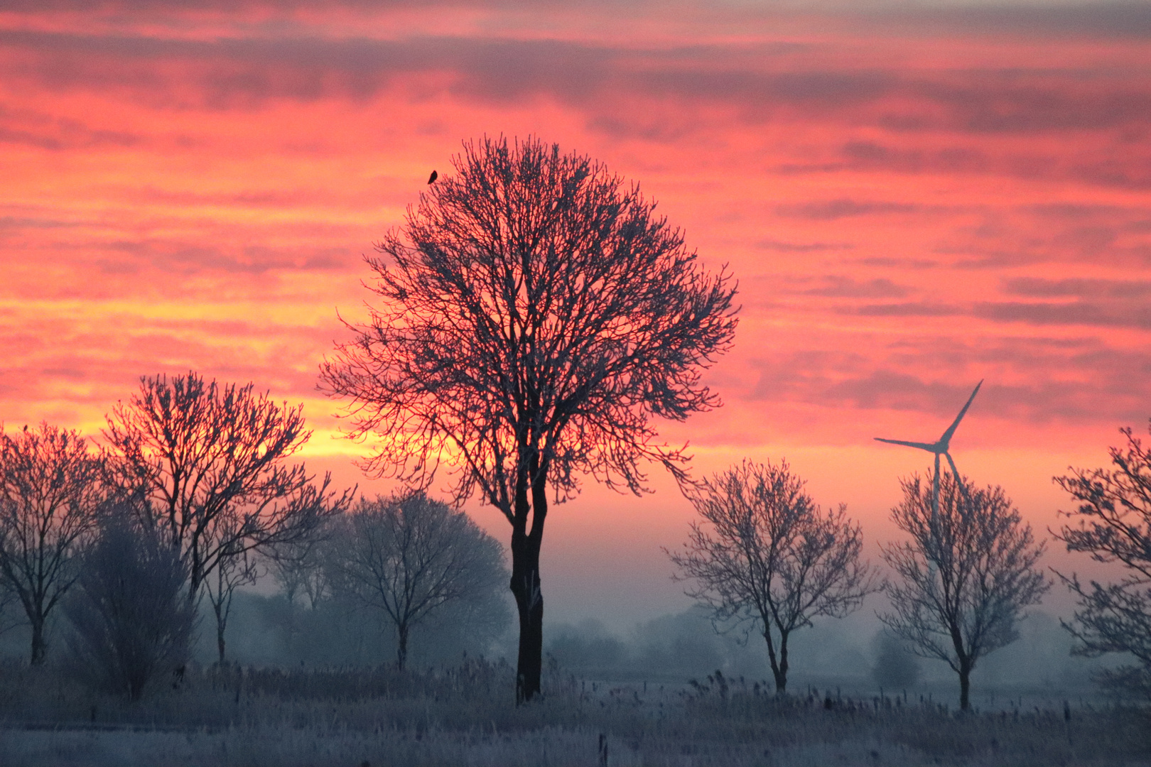 Wintersonnenaufgang