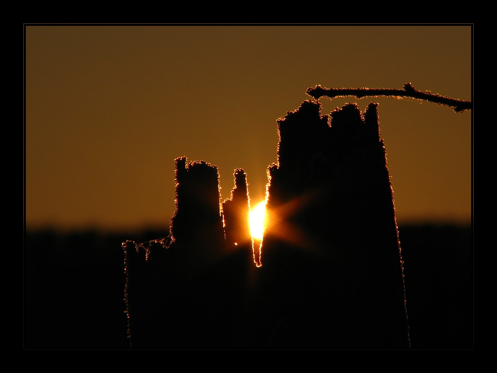 Wintersonnenaufgang