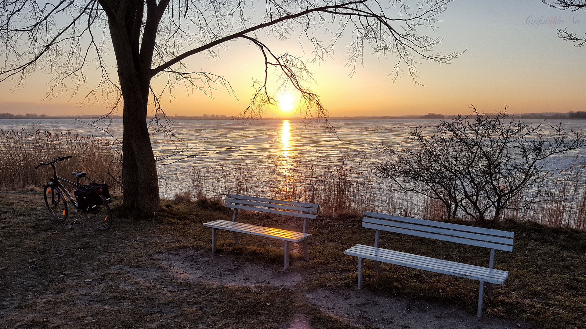 Wintersonnenaufgang an der Dänischen Wiek in Greifswald-Wieck