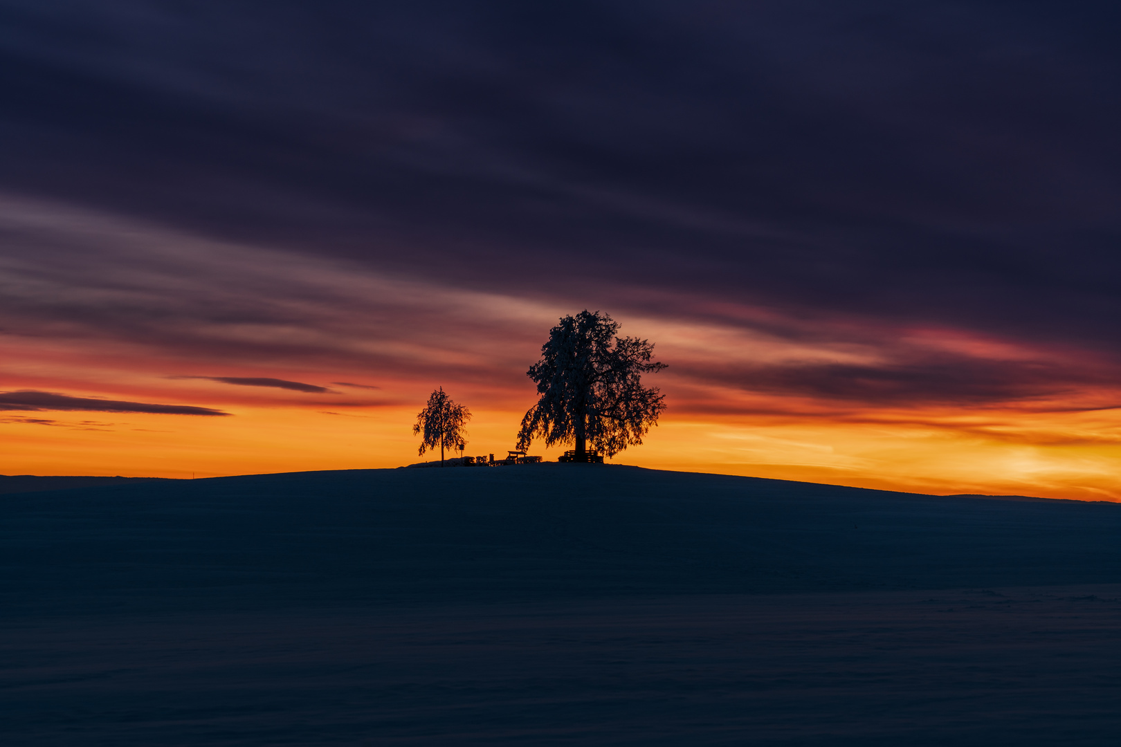 Wintersonnenaufgang an der Reuther Linde