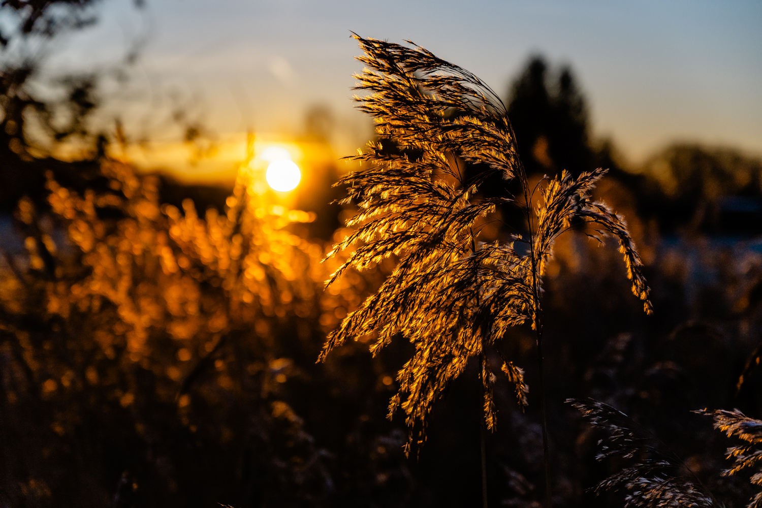 Wintersonnenaufgang