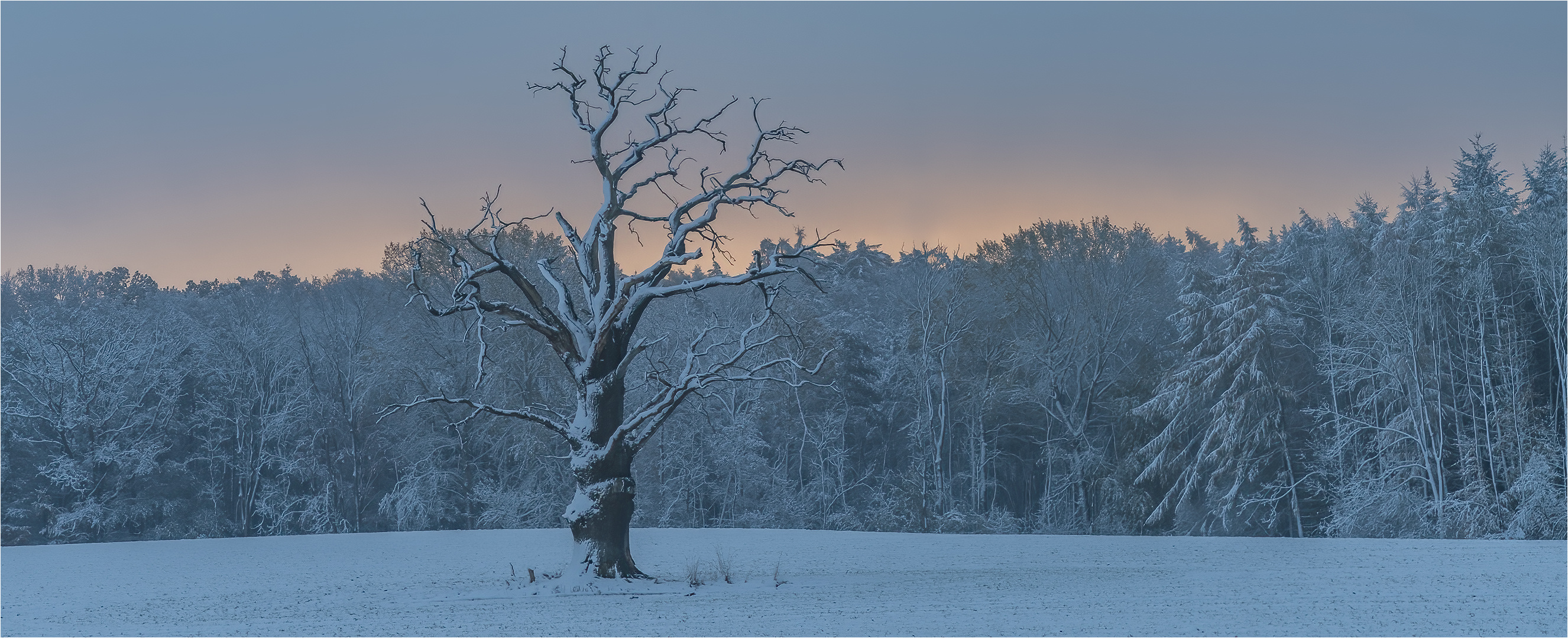 … Wintersonnenaufgang …