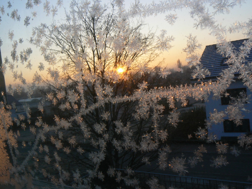 Wintersonnenaufgang hinter Eisblumen