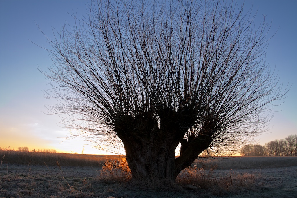 Wintersonnenaufgang1