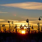 *** WinterSonnenBlumen ***