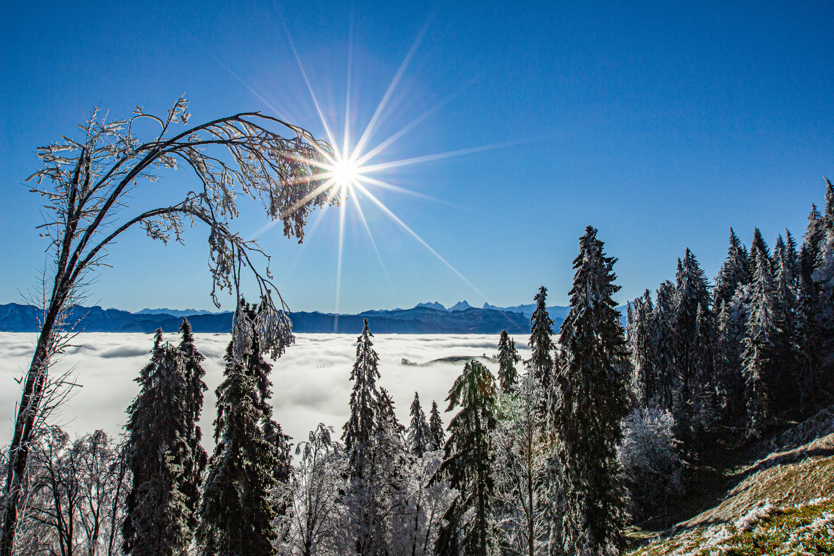 Wintersonnenglück