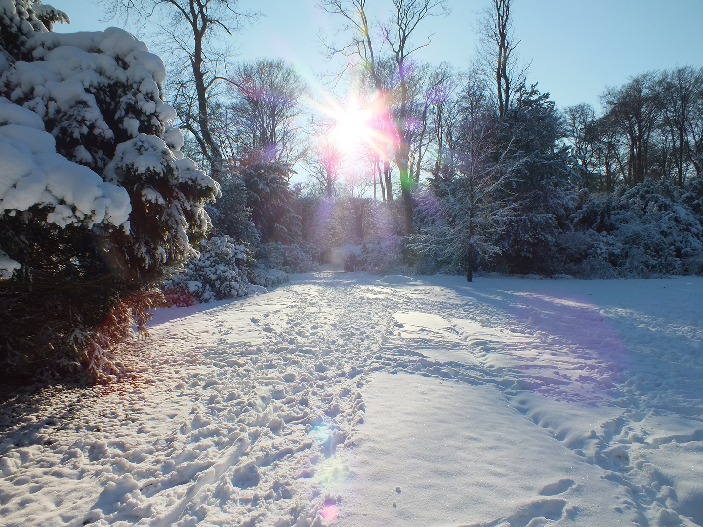 Wintersonnenlandschaft