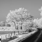 Wintersonnenlandschaft