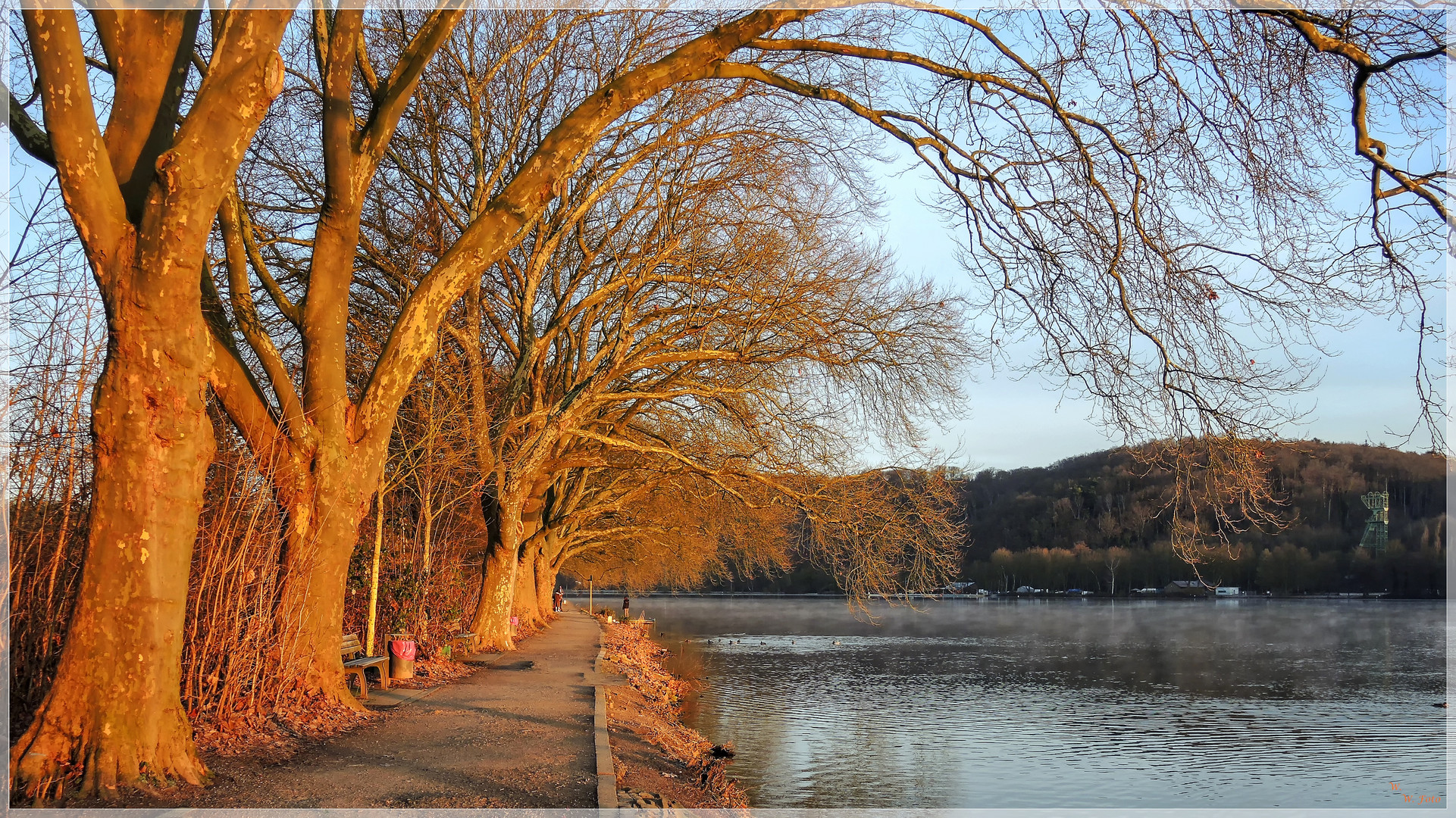 Wintersonnenlicht