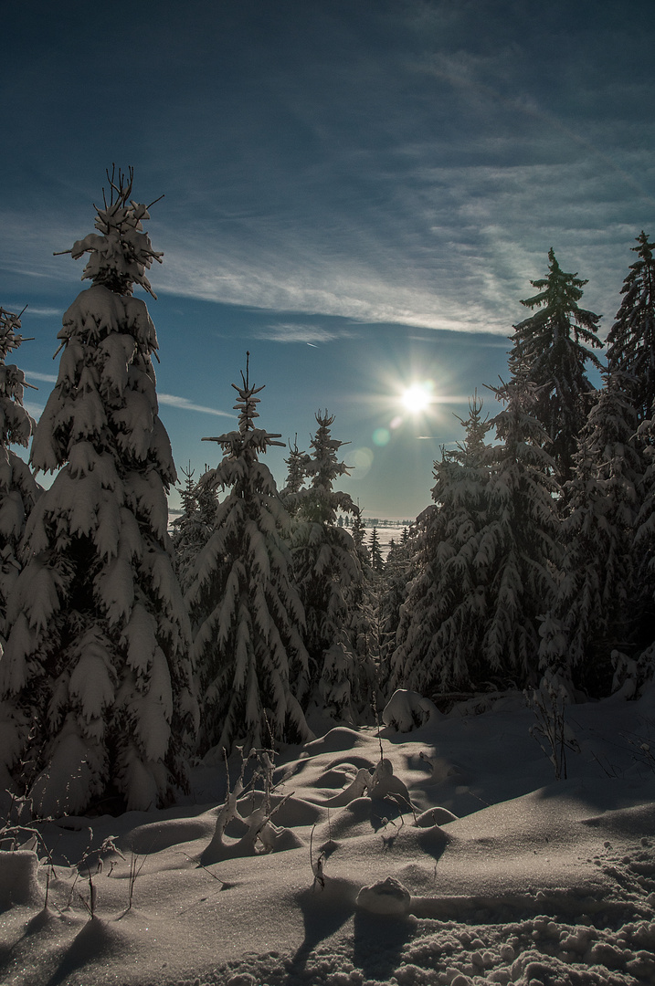 Wintersonnenspaziergang