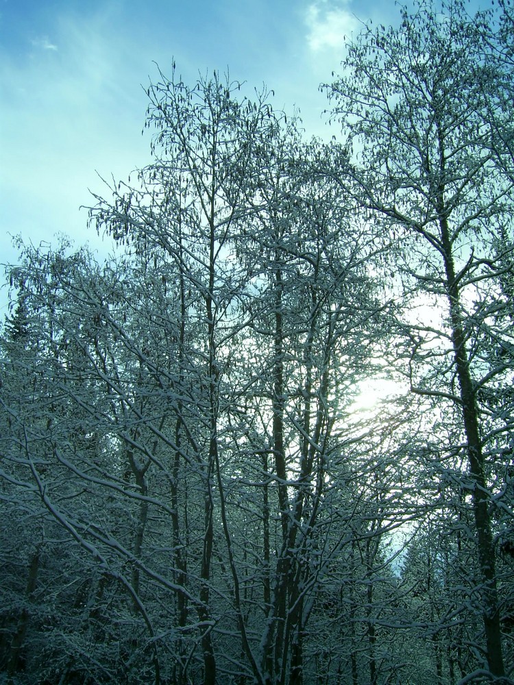 Wintersonnenspiel von Lunarjya 