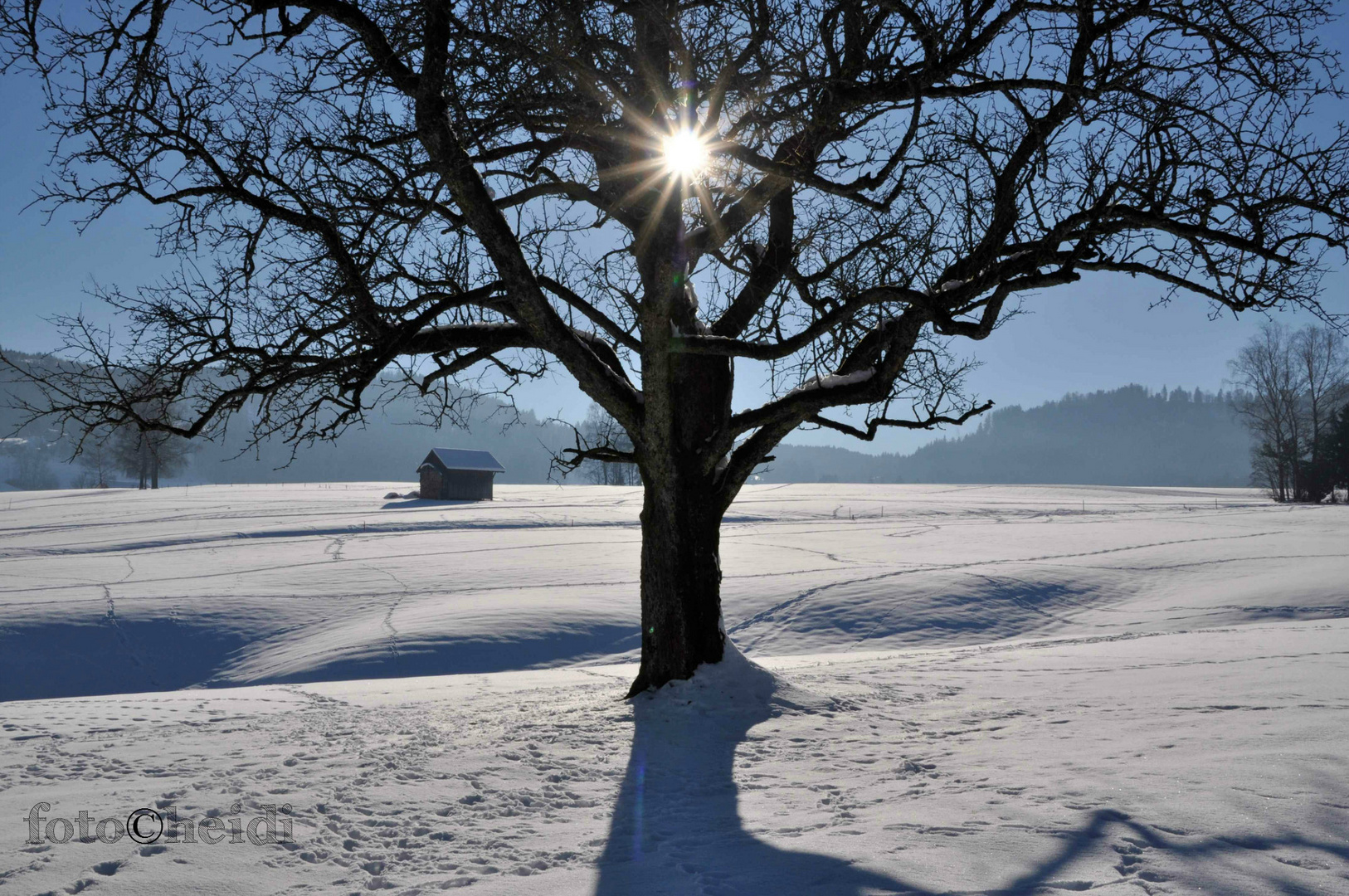 Wintersonnentag