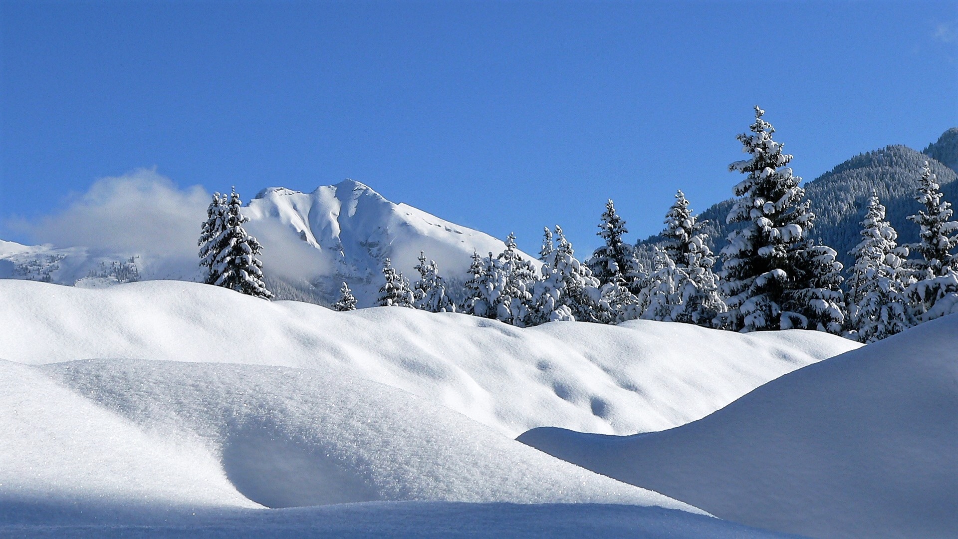 wintersonnentag