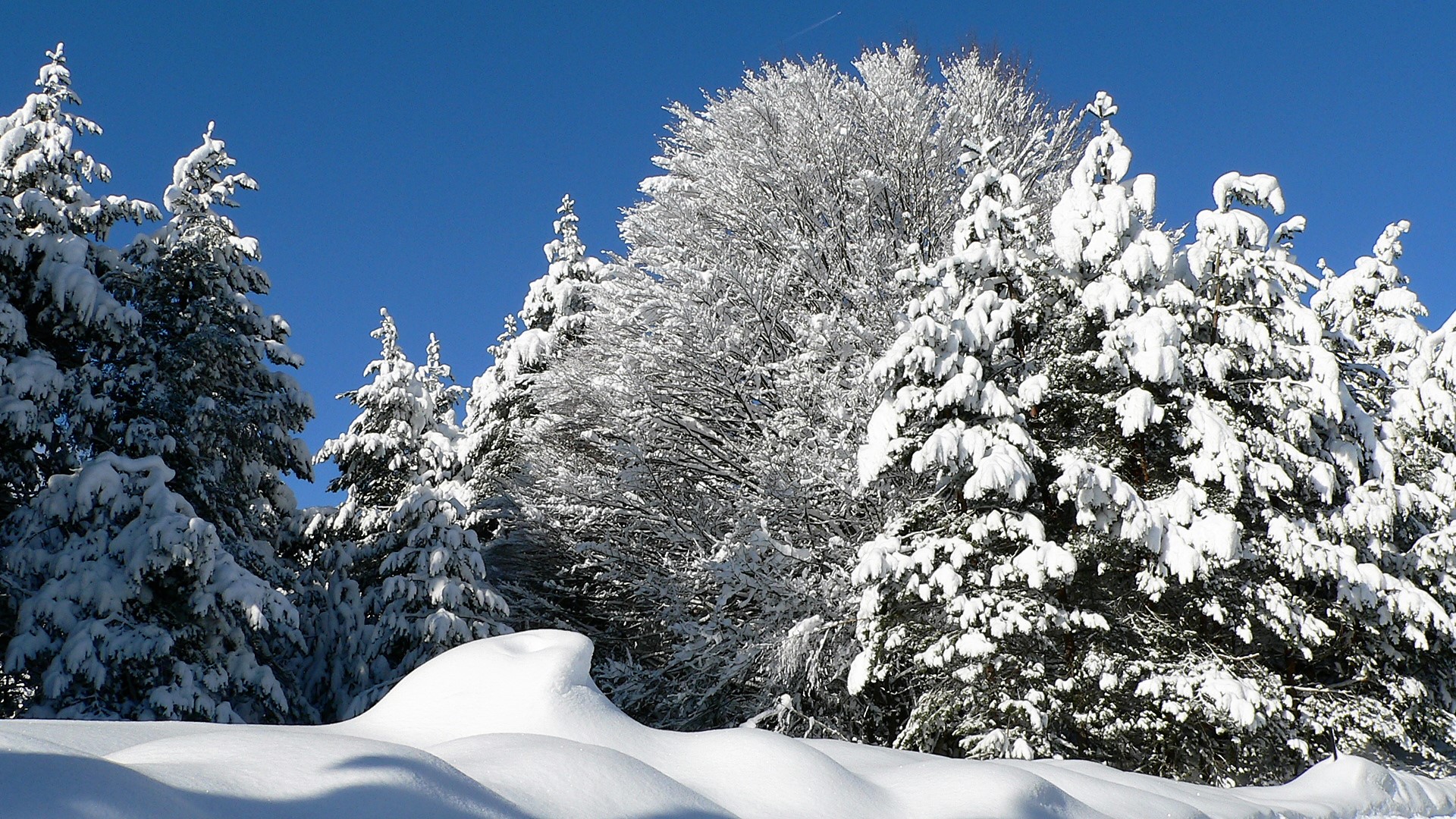 wintersonnentag