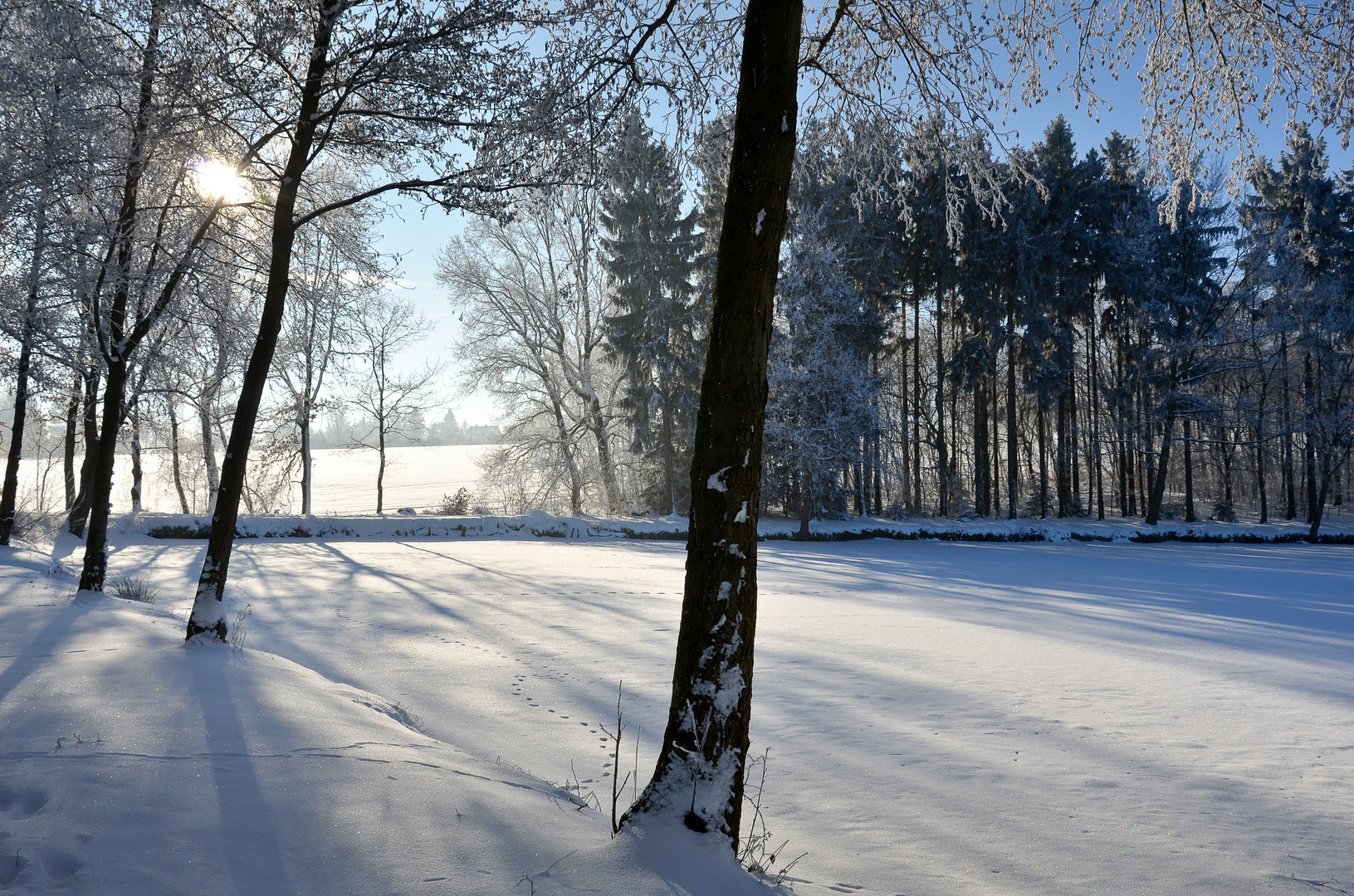 Wintersonnenträume