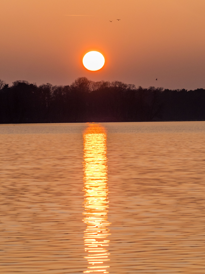 Wintersonnenuntergang 