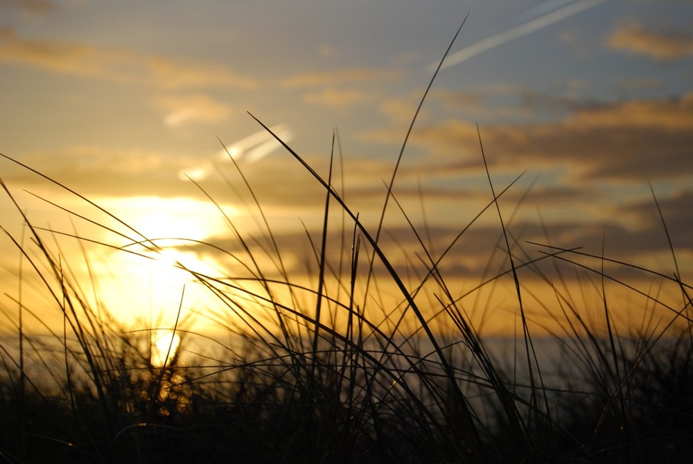 Wintersonnenuntergang