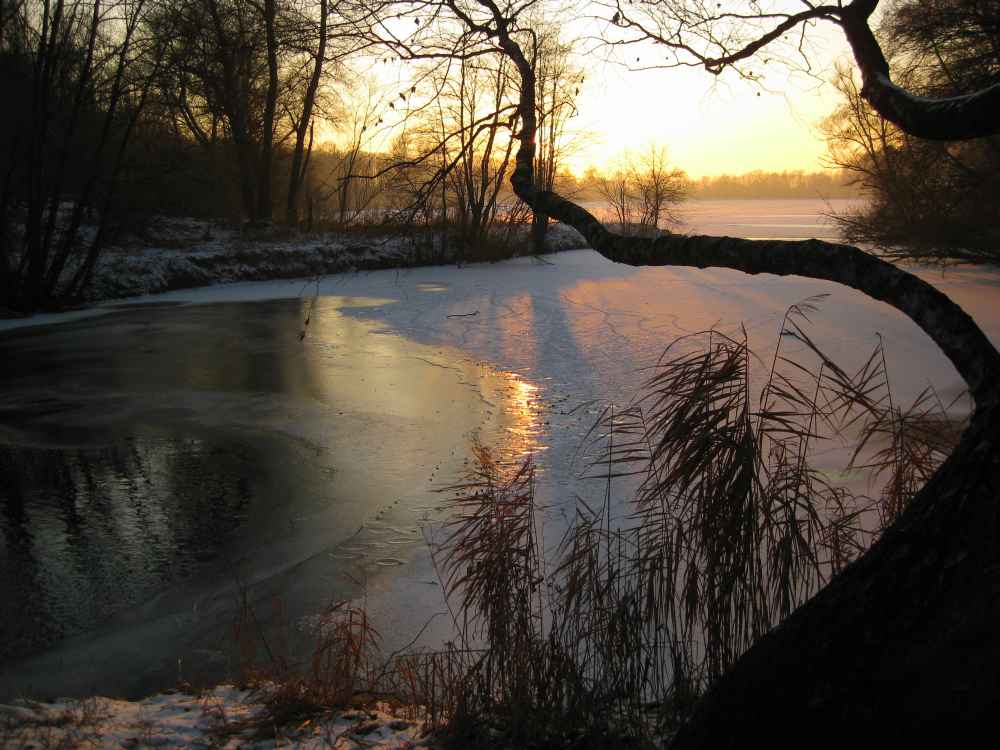 Wintersonnenuntergang am Stadtweiher 2