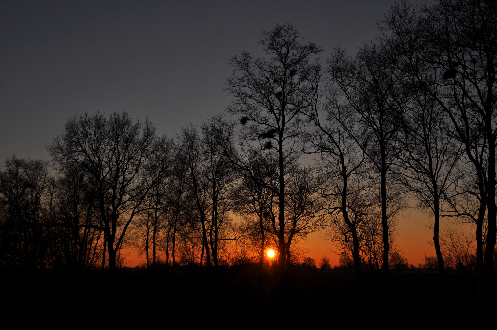 Wintersonnenuntergang Asseler Moor